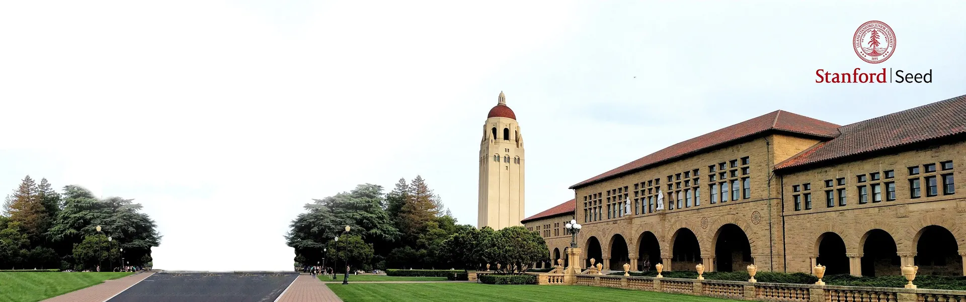 Stanford | Seed